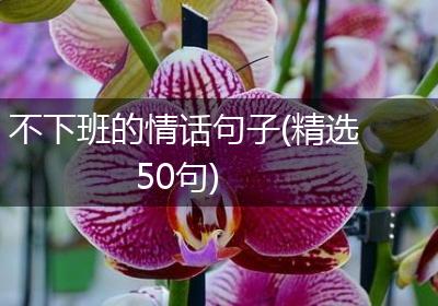 不下班的情话句子(精选50句)