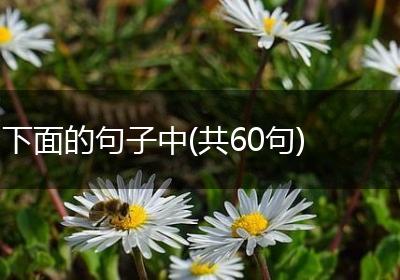 下面的句子中(共60句)