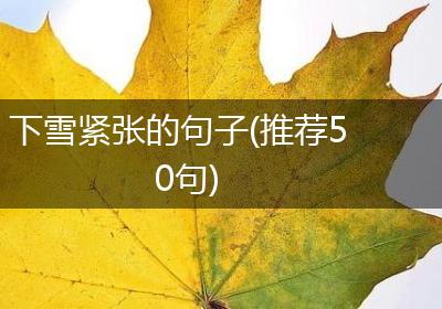 下雪紧张的句子(推荐50句)