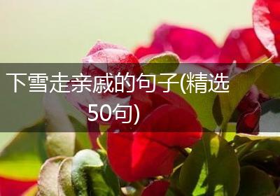 下雪走亲戚的句子(精选50句)