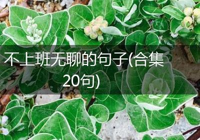 不上班无聊的句子(合集20句)