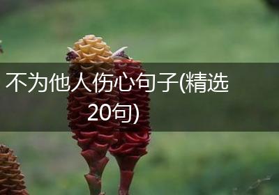 不为他人伤心句子(精选20句)