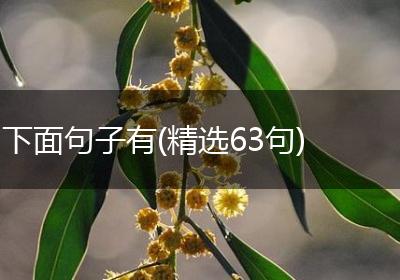 下面句子有(精选63句)