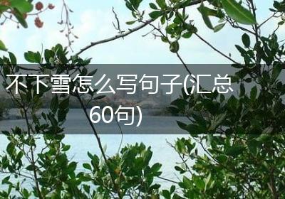 不下雪怎么写句子(汇总60句)