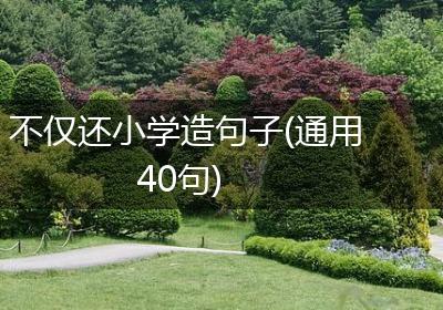 不仅还小学造句子(通用40句)