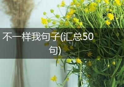 不一样我句子(汇总50句)
