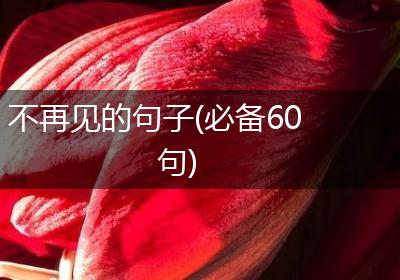 不再见的句子(必备60句)