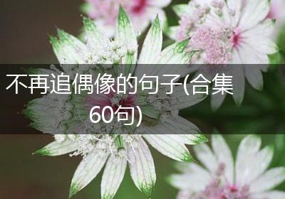 不再追偶像的句子(合集60句)