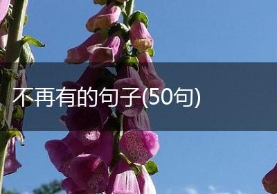 不再有的句子(50句)
