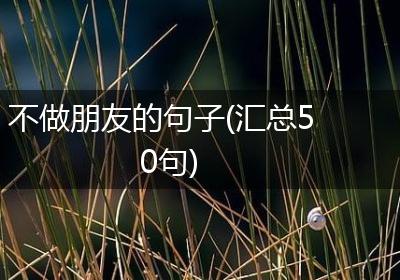 不做朋友的句子(汇总50句)