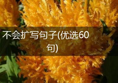 不会扩写句子(优选60句)