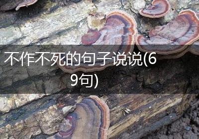 不作不死的句子说说(69句)