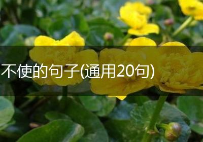 不使的句子(通用20句)
