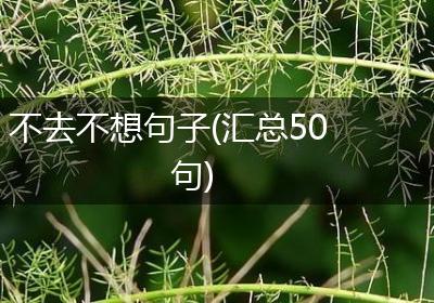 不去不想句子(汇总50句)