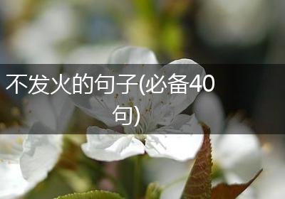 不发火的句子(必备40句)