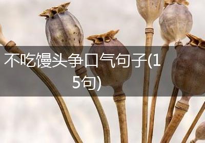 不吃馒头争口气句子(15句)