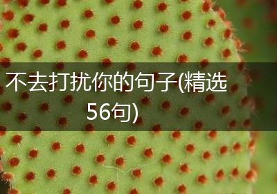 不去打扰你的句子(精选56句)