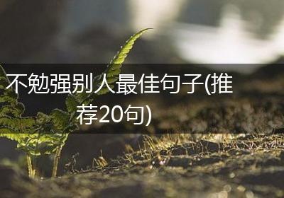 不勉强别人最佳句子(推荐20句)