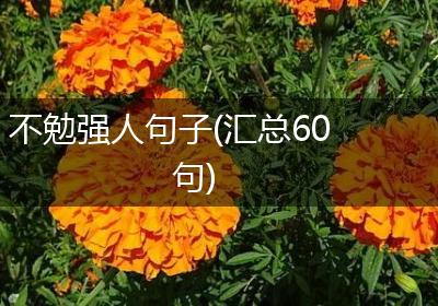 不勉强人句子(汇总60句)