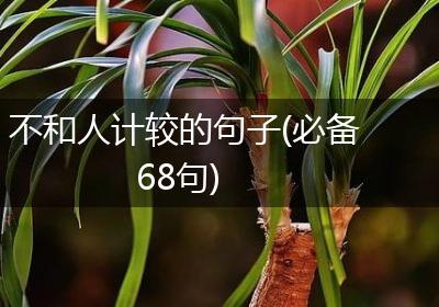 不和人计较的句子(必备68句)