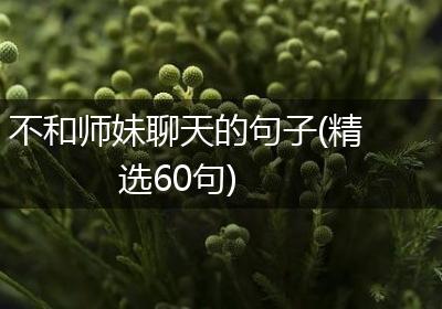 不和师妹聊天的句子(精选60句)