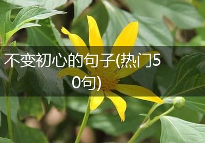 不变初心的句子(热门50句)