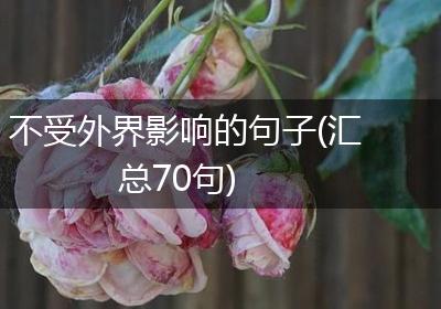 不受外界影响的句子(汇总70句)
