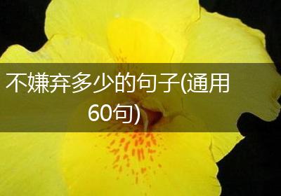 不嫌弃多少的句子(通用60句)