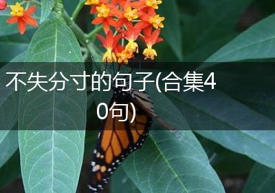 不失分寸的句子(合集40句)