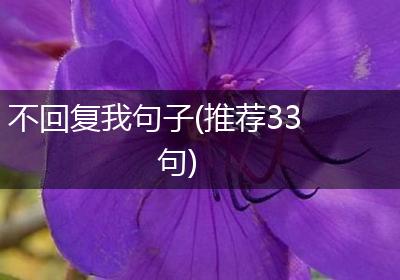 不回复我句子(推荐33句)