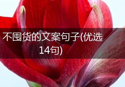 不囤货的文案句子(优选14句)