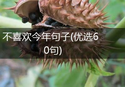 不喜欢今年句子(优选60句)
