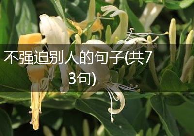 不强迫别人的句子(共73句)