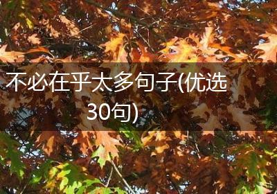 不必在乎太多句子(优选30句)