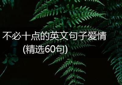 不必十点的英文句子爱情(精选60句)