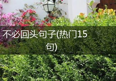 不必回头句子(热门15句)