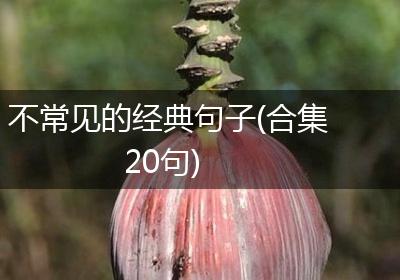 不常见的经典句子(合集20句)