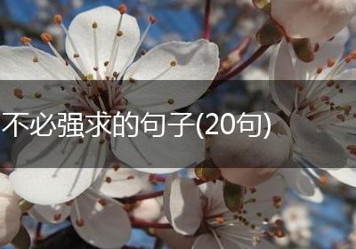 不必强求的句子(20句)