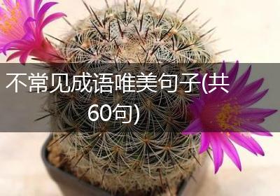 不常见成语唯美句子(共60句)