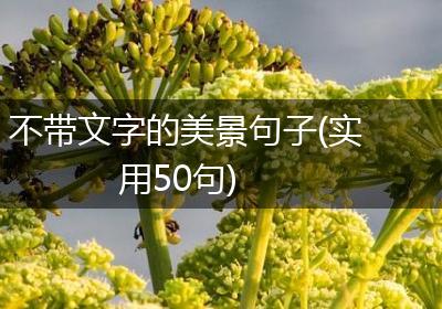 不带文字的美景句子(实用50句)