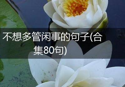 不想多管闲事的句子(合集80句)