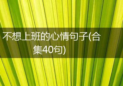 不想上班的心情句子(合集40句)