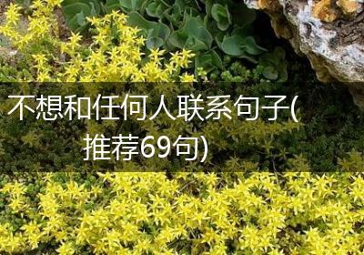 不想和任何人联系句子(推荐69句)