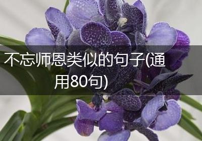 不忘师恩类似的句子(通用80句)