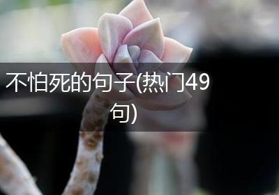 不怕死的句子(热门49句)