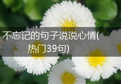 不忘记的句子说说心情(热门39句)