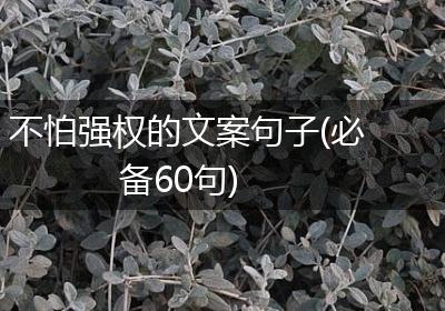 不怕强权的文案句子(必备60句)