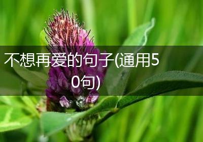 不想再爱的句子(通用50句)