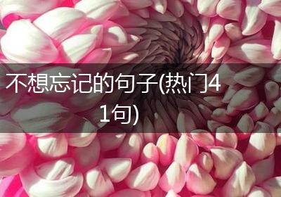不想忘记的句子(热门41句)