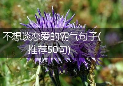不想谈恋爱的霸气句子(推荐50句)